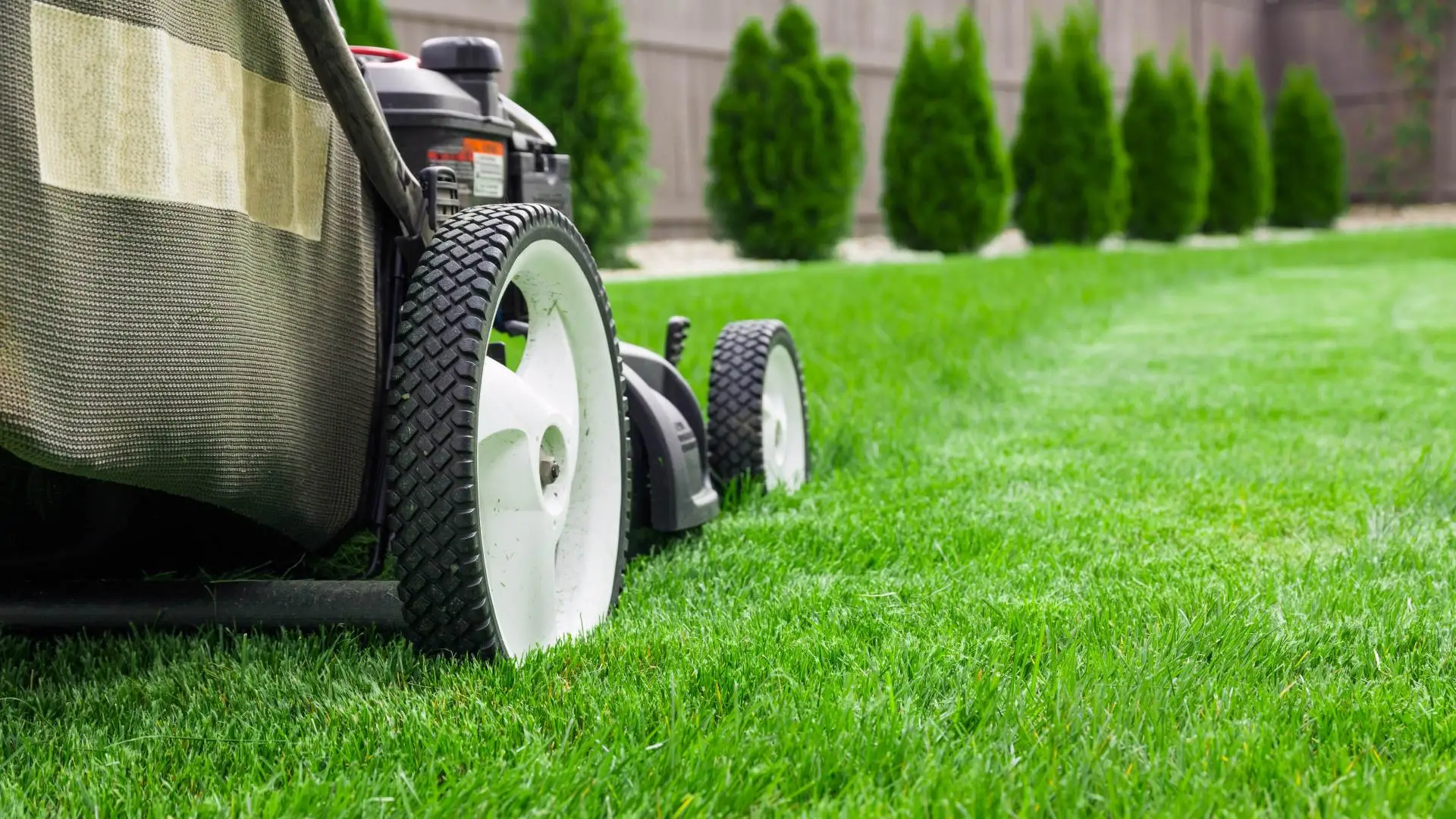 How Often Should You Be Mowing Your Grass in Omaha?