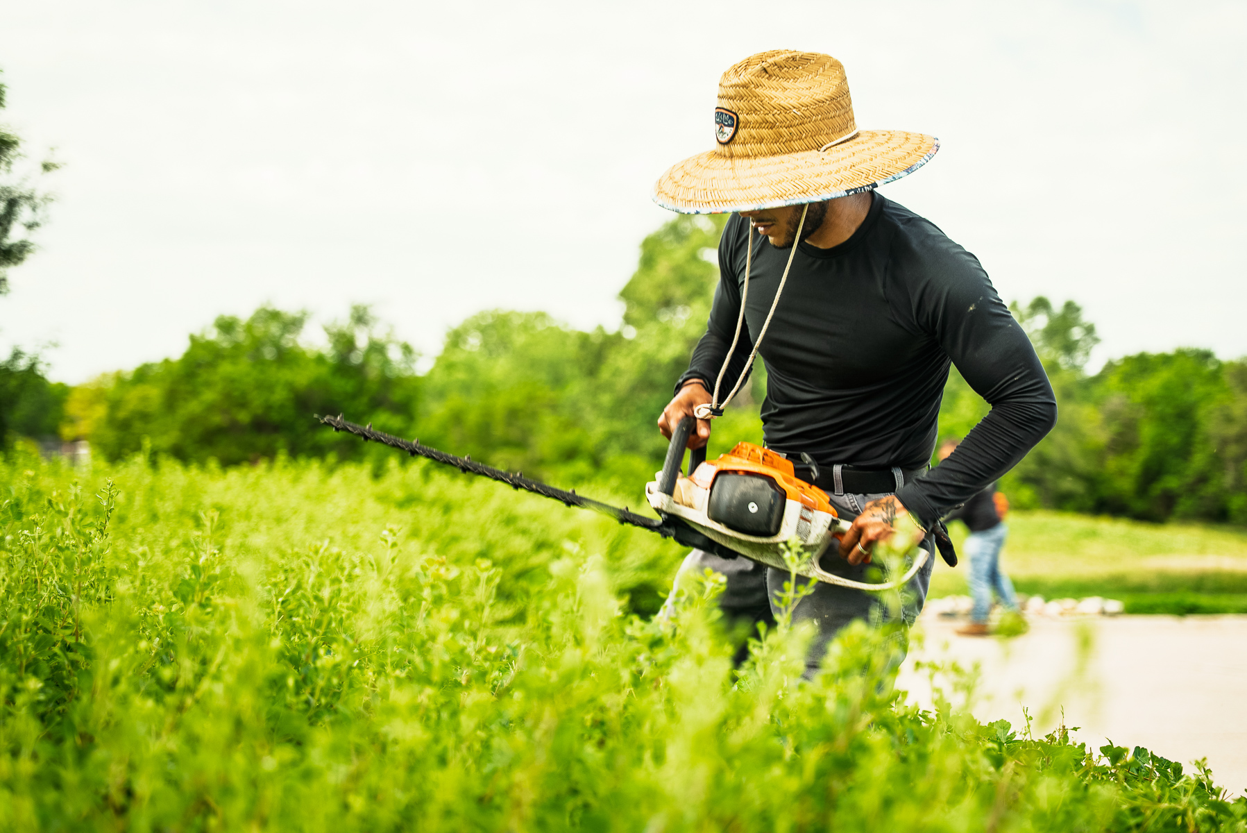commercial maintenance crew hedge trimmer pruning 5