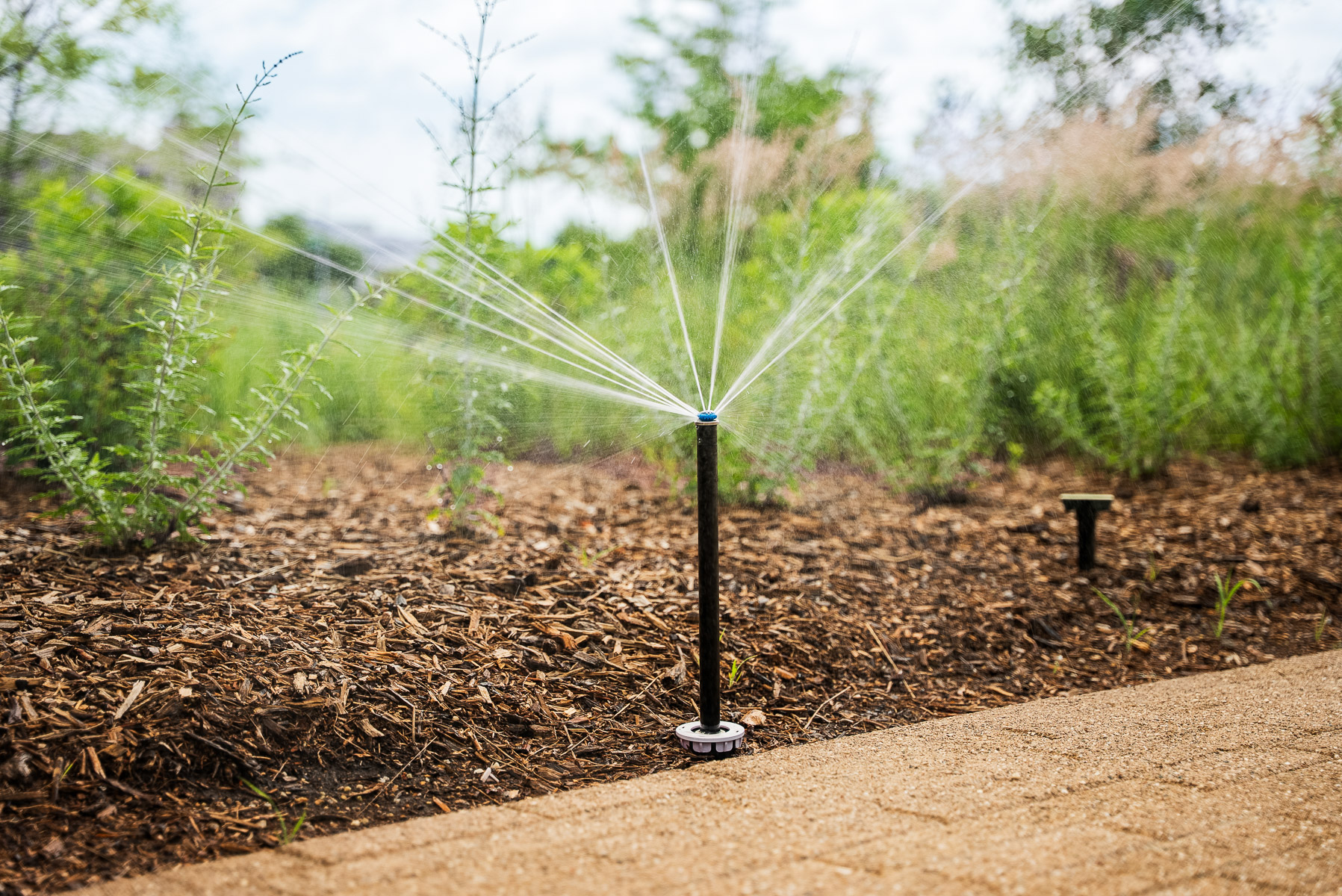 detail irrigation planting bed van spray nozzle 2