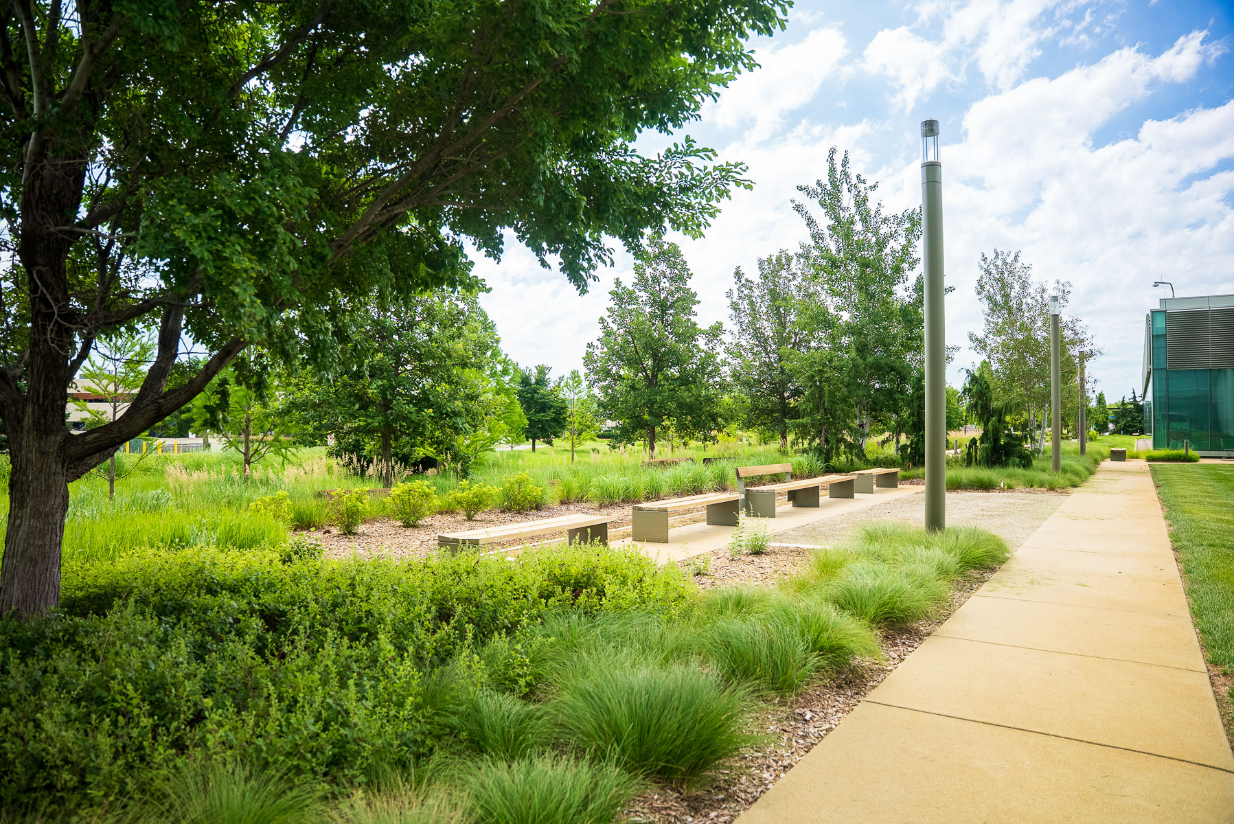 nice commercial landscape bench seating path plants