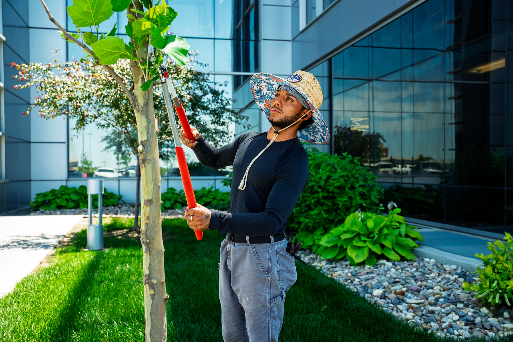 nice maintenance crew loppers pruning branch